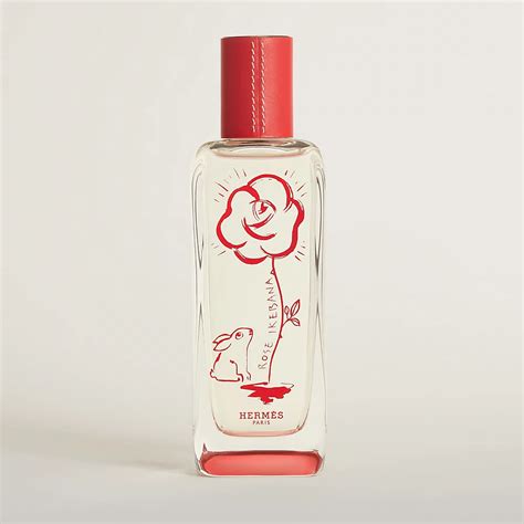 rose dore hermes|hermes rose perfume.